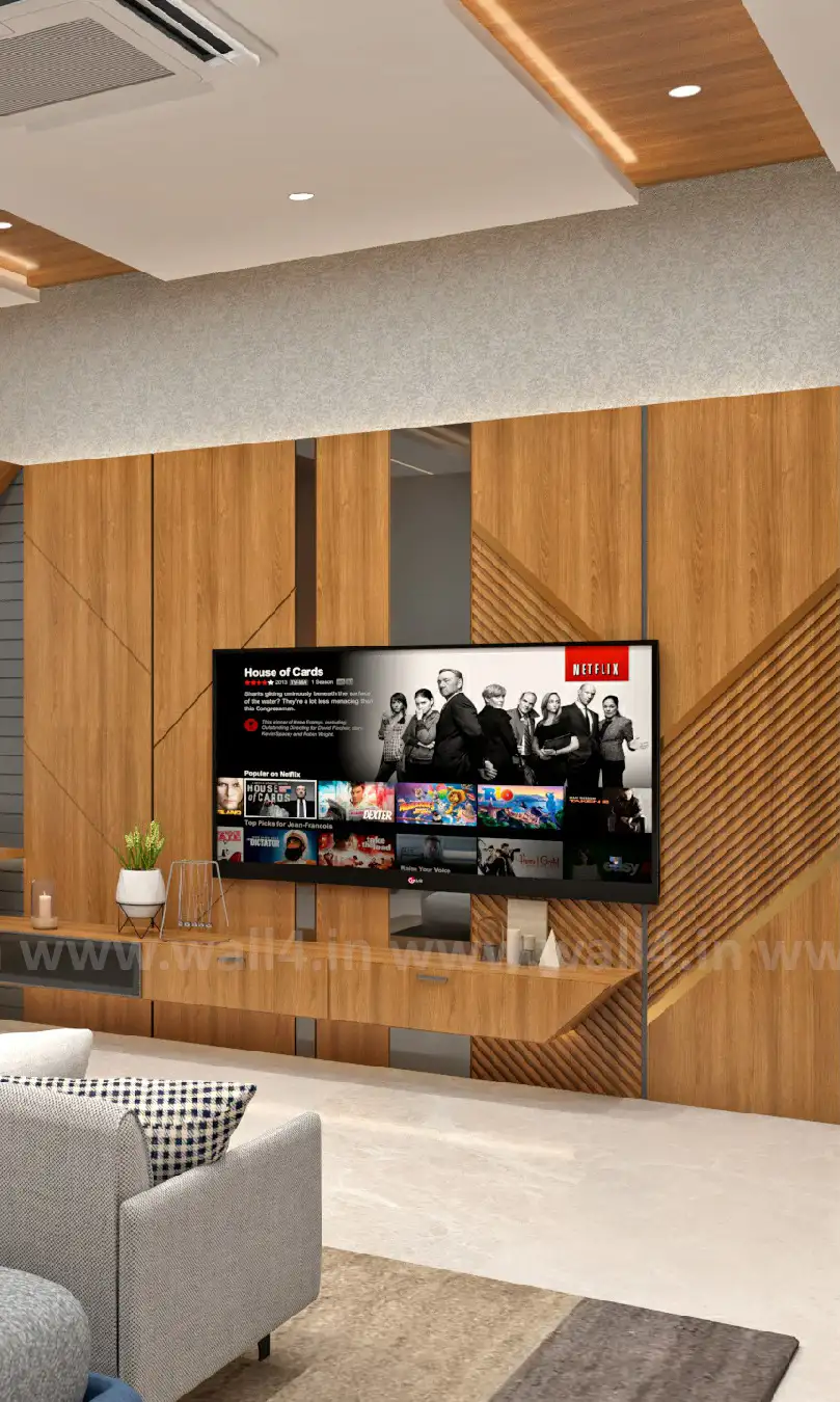 rayapas-tv-units